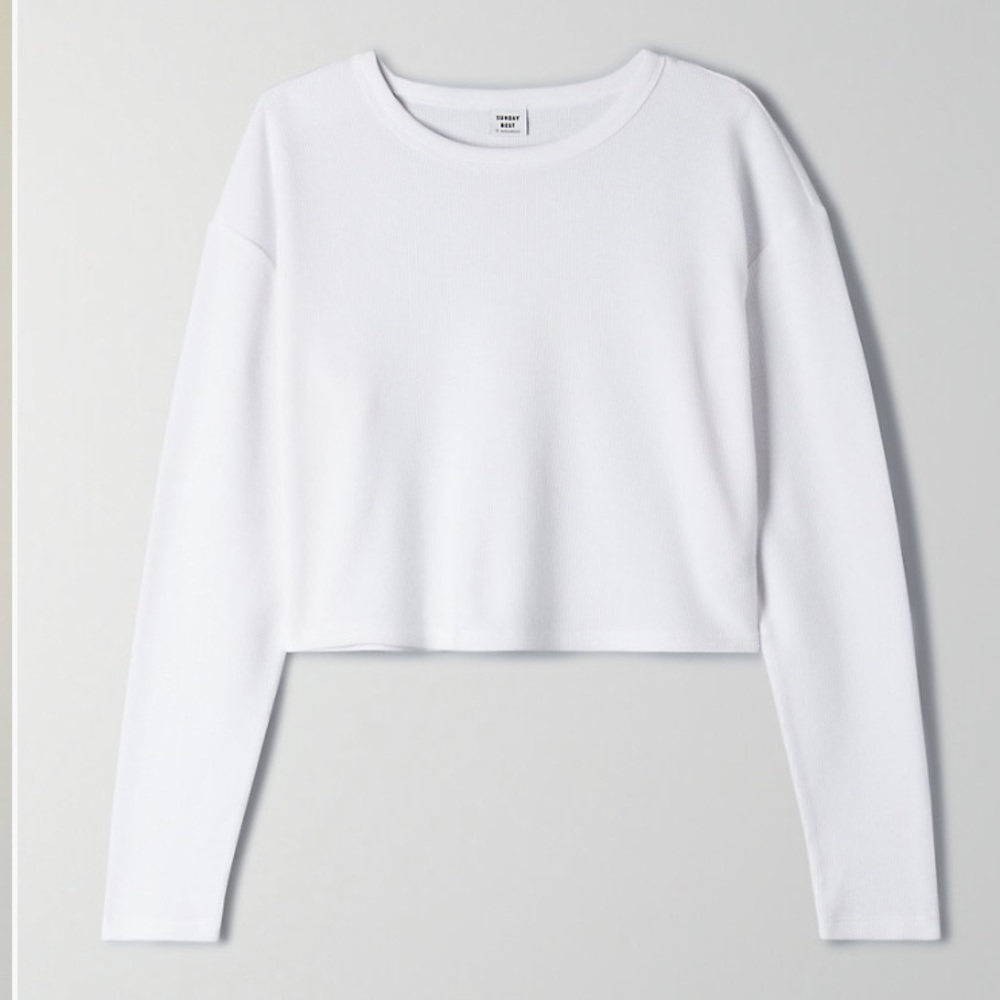 Aritzia long sleeve crop top